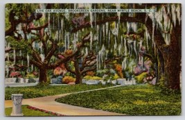 Live Oak Ave Breokgreen Gardens Near Myrtle Beach SC Postcard N21 - $8.95