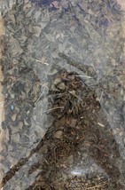 Dried Mehandi Leaves (Henna) – natural hair coloring, and skin condition... - $9.41