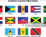 Moon Knives Caribbean West Indies Islands 2x3 Flag Set of 13 Country Pol... - $68.88
