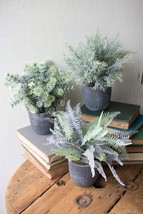 Set of 3 Realistic Artificial Botanica Greenery Ferns in Faux Cement Pot... - $62.99