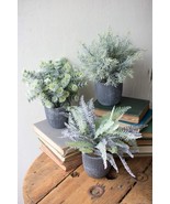 Set of 3 Realistic Artificial Botanica Greenery Ferns in Faux Cement Pot... - £50.33 GBP