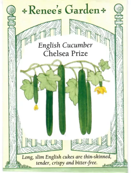 Cucumber Chelsea Prize Vegetable Seeds Renee&#39;S 12/24 Fresh New - $12.30