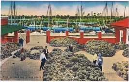 Postcard Sponges &amp; Sponge Boats  At Tarpon Springs Florida - £3.86 GBP