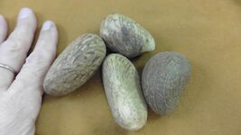 Item image 1 image 1