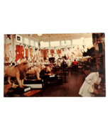 Morse Taxidermy Museum Animal Skins Tusks Warren NH Dexter Postcard c196... - £11.70 GBP