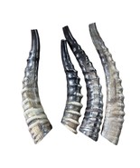 Blesbok Shofar, 1 Blesbok Antelope Horn Shofar, Average Size 11&quot; to 13&quot; ... - $32.66