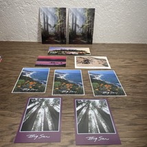 Vintage Lot of 10 California Postcards Unposted Mel&#39;s Diner Big Sur Trav... - $188.27 MXN