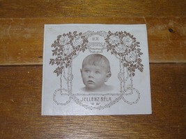 Vintage Jellenz Bela Baby Photo Framed in Rose Flowers Brown Sepia Bookp... - £3.73 GBP