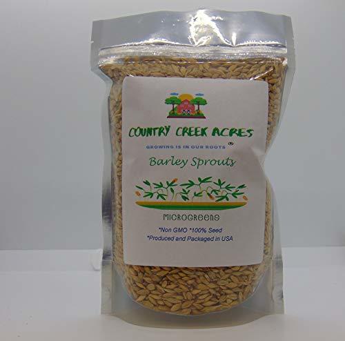 Whole Barley Seeds for Barley Grass Microgreen, Juice Sprouting Seeds 5 Pounds R