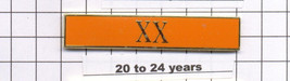 Correction&#39;s Dept 20-24 Year Longevity Bar (XX) Citation Bar - pin back ... - $185.46 MXN