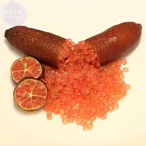 New Fresh Imported Orange Finger Lime Pomegrante Plant Seeds 10 Seeds Pa... - €3,17 EUR