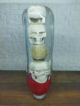 Underwater Skull Skeleton Head Gear Shift  Knob Buffalo Bone Acrilyc Resin_a355 - £89.36 GBP