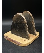 Polished Petrified Wood Napkin Holder Fossil Free Standing Display Signe... - €42,75 EUR