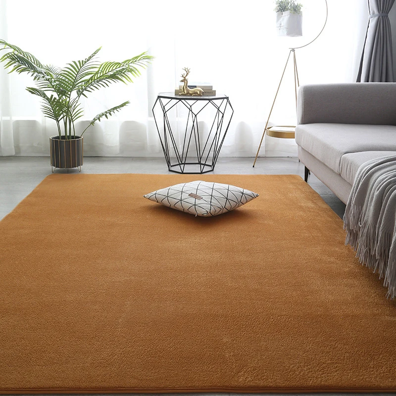 Thicken Carpet Living Room Decor Coral Fleece Large Area Bed Room Rug Soft - £10.99 GBP+
