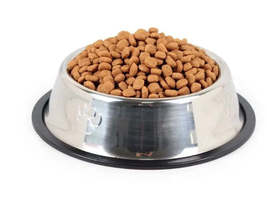 2 pc Stainless Steel Dog And Cat Food And Water Bowl Non Slip Base - $7.00+