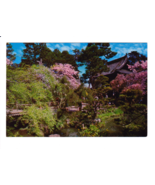 Japanese Tea Garden-San Fransisco CA-Cherry Blossom-Willow Tree-4x6 Post... - £3.92 GBP