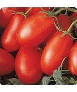 KKG 50 Organic Roma Tomato Seeds For Determinate Non Gmo Organic Easy Grow - €10,76 EUR