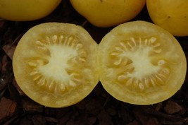 AD 50 Seeds Yellow Vernissage Tomato Tomatoe Vegetable Home Garden - $247.16 MXN