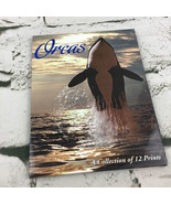 Orcas A Collection Of 12 Postcards Wildlife Photography Pacific Northwes... - £11.62 GBP