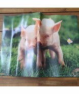 *Creased* Vintage 1998 Tangerine Press Pig Poster 24&quot; X 18&quot; - $27.15 CAD