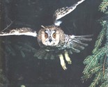 Wildlife of the Forests by Myron Sutton and Ann Sutton - $18.95