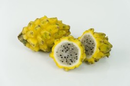 20 Yellow Dragon Fruit Pitaya Pitahaya Pear Hylocereus Megalanthus Cactus Seeds  - £15.73 GBP