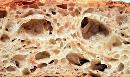 san francisco sourdough yeast from the WHARF very old and tangy bonanza - £6.94 GBP