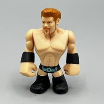 2011 Sheamus WWE Rumblers 2.25&quot; Wrestling Mini Figure V3075 Mattel - £4.63 GBP