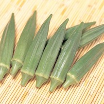 Garden Store Okra Seeds 19 Jambalaya (F1) Extra Early Maturing Abelmoschus Escul - $8.59