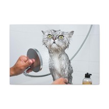 Funny Wet Cat Bath Canvas Wall Art for Home Decor Ready-to-Hang - £68.33 GBP+