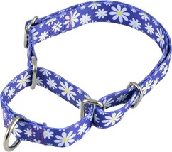 New Native Pup Martingale Daisy, Blue/White Dog Collar M 13&quot; - 20&quot; (A2) - £8.98 GBP