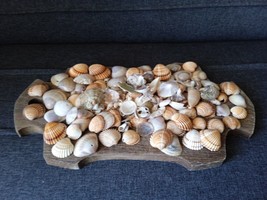 lot of small sea shells from Greece - $842.42 MXN