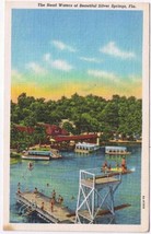 Florida Postcard Silver Springs The Head Waters - £1.70 GBP
