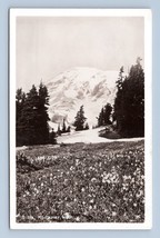 RPPC Paradiso Valley Montante Rainier National Park Wa Washington Cartolina M16 - $7.13