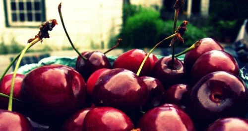 Giant 10 Ulster Cherry Seeds for Garden Planting - $8.43