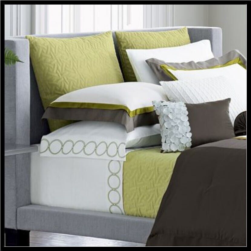 Vera Wang Signature Dune Border Green Quilted 2PC Euro Sham Set