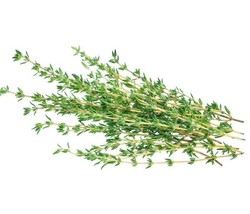 Grow In US Thyme 10 Fresh Herb Seeds - £6.18 GBP