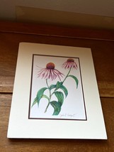 John R. Sargent Artist Signed Small Colored Pencil Print of Prairie Flower in Wh - £10.43 GBP