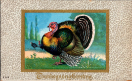 Thanksgiving Greeting Antique Postcard Colorful Turkey 726 Posted Novemb... - £6.37 GBP