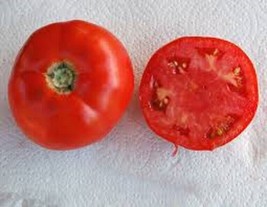 50+ Seeds Tygress Tomato Tomatoe Vegetable Garden Edible Canning From US - £6.68 GBP