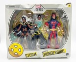 New Marvel Legends Series Storm Thunderbird 2 Pack Target Exclusive Dama... - $29.99