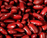 Dark Red Kidney Bush Bean Seeds, Baked Beans and Chili, NON-GMO,  FREE S... - £5.08 GBP+