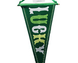 Lucky Pennant Green  Saint Patrick Hanging Door Decor 7.28x12.01 Inches - $17.70