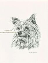 #102 YORKIE YORKSHIRE TERRIER  dog art print * Pen and ink drawing * Jan... - $12.50