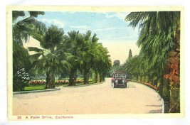 California 20 A Palm Drive The M. Kashower Co. White Border Postcard c1920s - £5.54 GBP