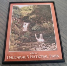 Vintage Haleakala National Park &#39;Ohe&#39;o Magnet - £11.21 GBP