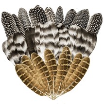 30Pcs Natural Turkey Feathers, 5.3-7 Inch Craft Feathers Pheasant For Hats, 3 St - £11.98 GBP