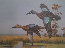 Blue Winged Teal by David Noll 1989 Louisiana Migratory Waterfowl Stamp Print Ar - £92.50 GBP