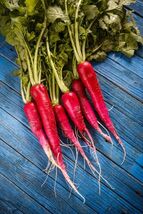Fresh 250 RED ARROW SPROUTING RADISH MiniGreen Daikon Raphanus Sativus S... - $3.50