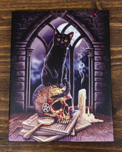 Salem Witch Map Pentagram Skull With Black Cat Wood Framed Canvas Wall Decor - £14.85 GBP